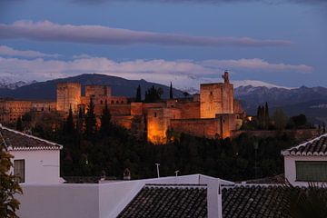 Alhambra by night II