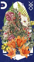 Nature Bouquet | Rosaline