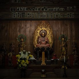 Boeddha beeld in Japanse tempel van Sacha Ooms