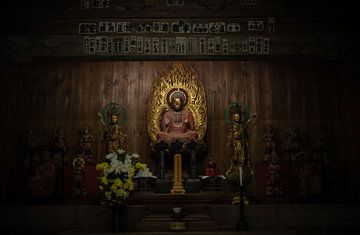 Boeddha beeld in Japanse tempel van Sacha Ooms