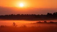 Zonsopkomst op de Loonse en Drunense duinen