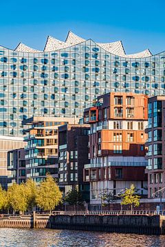 Flats in Grasbrook in front of Elbphilharmonie - Hamburg by Werner Dieterich