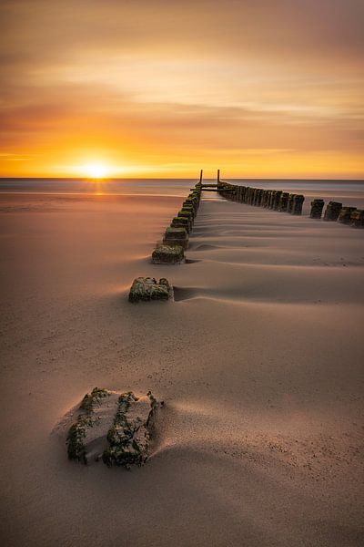 Sands of Time van Thom Brouwer