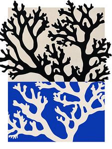 Coral (Blue)