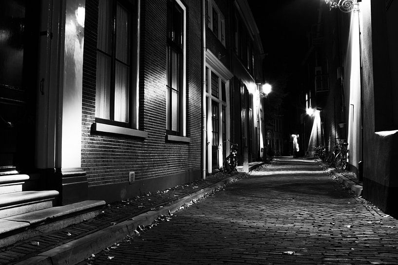 Smal steegje Deventer by Sander Rozemuller
