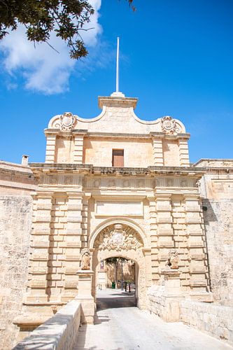 Mdina I de oude stad van Malta