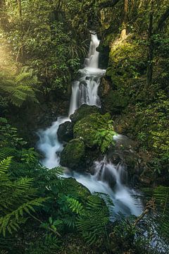 New Zealand Waterfall at Alpine Crossing by Jean Claude Castor