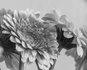 Zwart witte bloemenzee van Jolanda de Jong-Jansen
