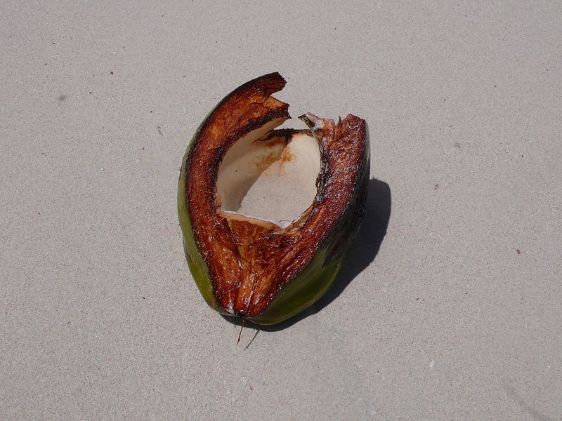 Coconut Beach - Barbados von Daniel Chambers