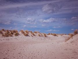 Zandduinen op het strand van Warnemünde aan de Oostzee