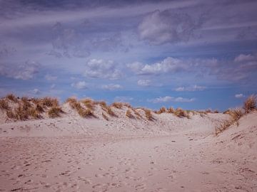 Zandduinen op het strand van Warnemünde aan de Oostzee van Animaflora PicsStock