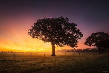 Vroege Glorie boven de Polder van Zwoele Plaatjes