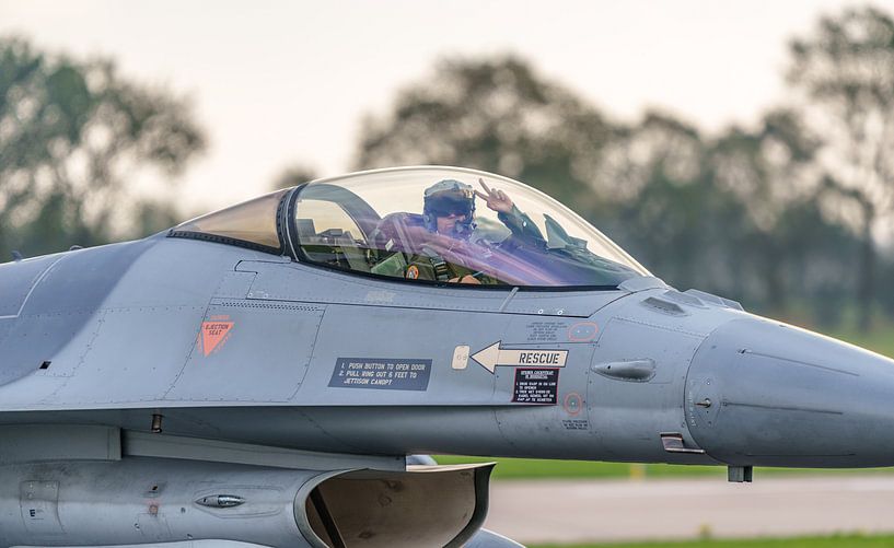 F-16 Fighting Falcon (J-508) der Royal Air Force. von Jaap van den Berg