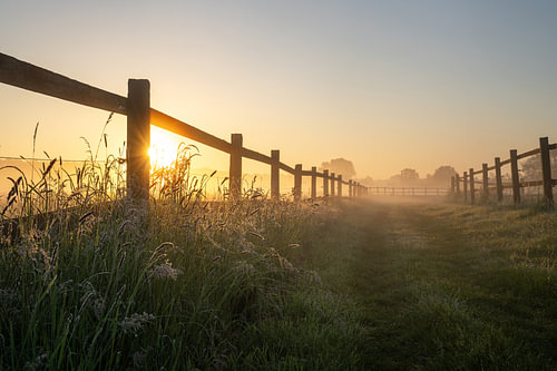 Lippe floodplains, Haltern am See, North Rhine-Westphalia, Germany