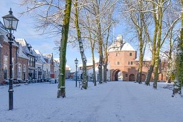 Winter in Harderwijk 2026 van Nienke Bot