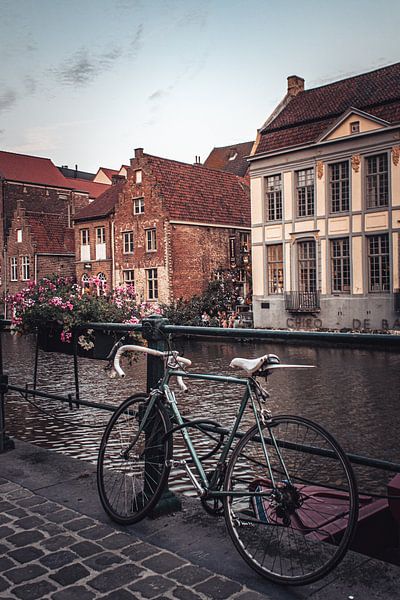 Radfahren entlang der Leie in Gent | Stadtfotografie von Daan Duvillier | Dsquared Photography