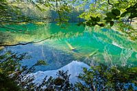 Spring in untouched nature