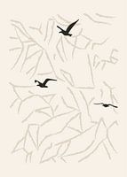 Journey of a bird