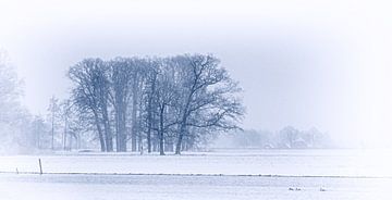 Winterwiese von Rob Wareman Fotografie