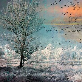 Vogels in een winterlandschap van Frans Gesell