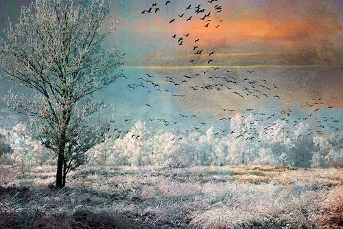 Vogels in een winterlandschap