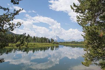 Uitzicht over de Oxbow Bend in Snake River in Grand Teton National Park