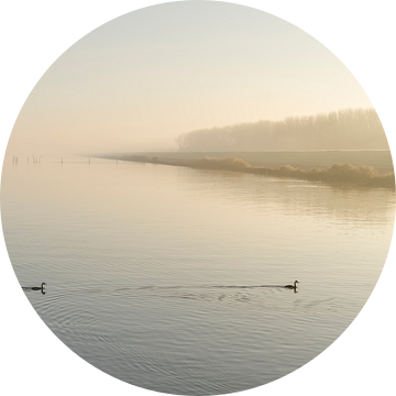 IJsselmeer met Futen. 2