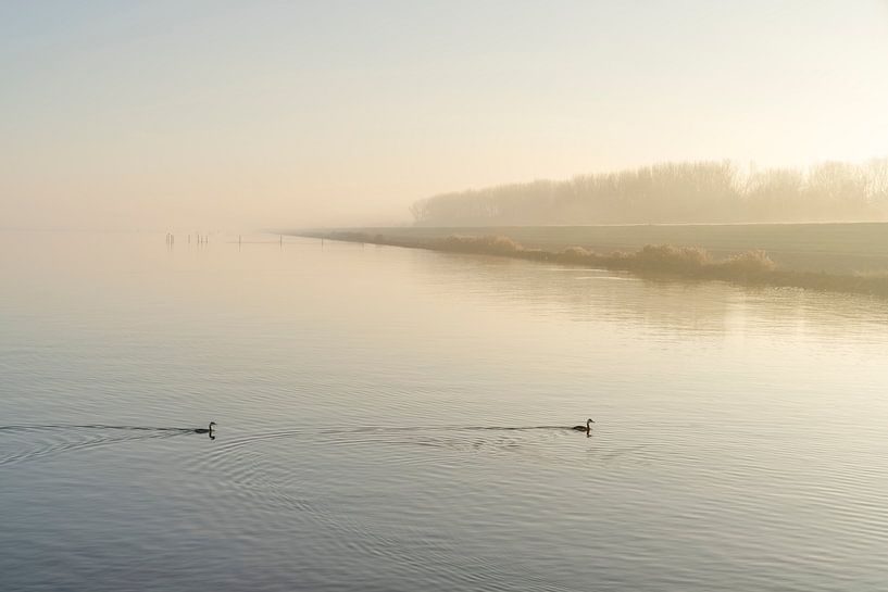 IJsselmeer with Grebes. 2 by Alie Ekkelenkamp