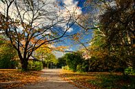 L'automne arrive par Lex Schulte Aperçu