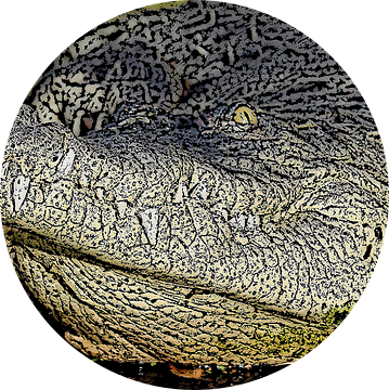 Krokodil van Jose Lok