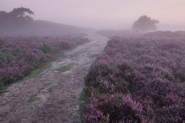 Walking on the moors by Douwe Schut
