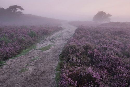 Walking on the moors by Douwe Schut