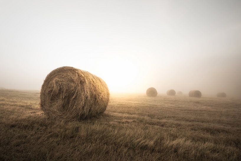 French landscape by Karel Ton