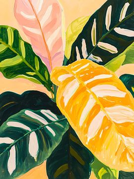 Calathea plant ii van haroulita
