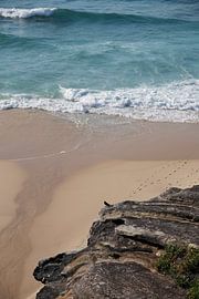Le littoral de Sydney