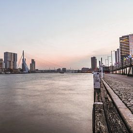 La rivière Maas et le pont Erasmus sur Jarno Dorst