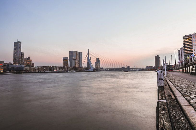 The Maas and the Erasmus Bridge by Jarno Dorst
