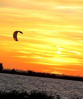 Vlieg over het water.