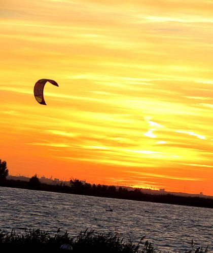Vlieg over het water.