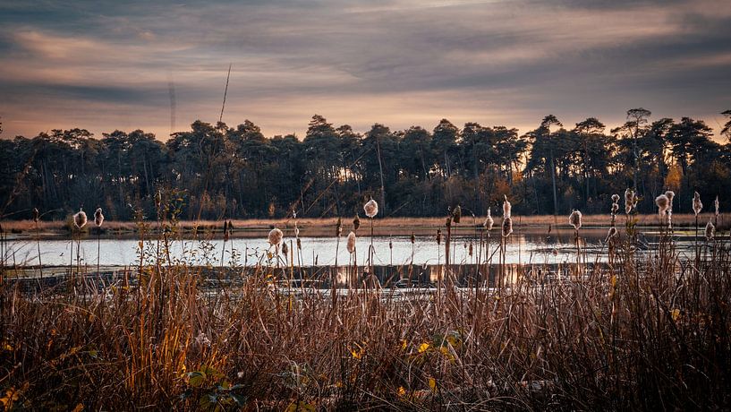 More at Breda. by iwan faber