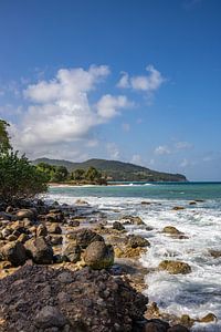Wilde Karibische Küste, Pointe Allègre, Sainte Rose Guadeloupe