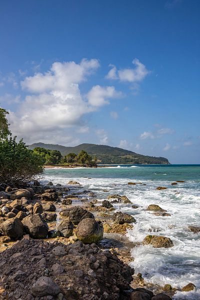 Wilde Caribische kust, Pointe Allègre, Sainte Rose Guadeloupe van Fotos by Jan Wehnert