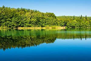 Landscape on a lake with trees sur Rico Ködder