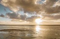 Gouden Waddenzee van Ursula Reins thumbnail