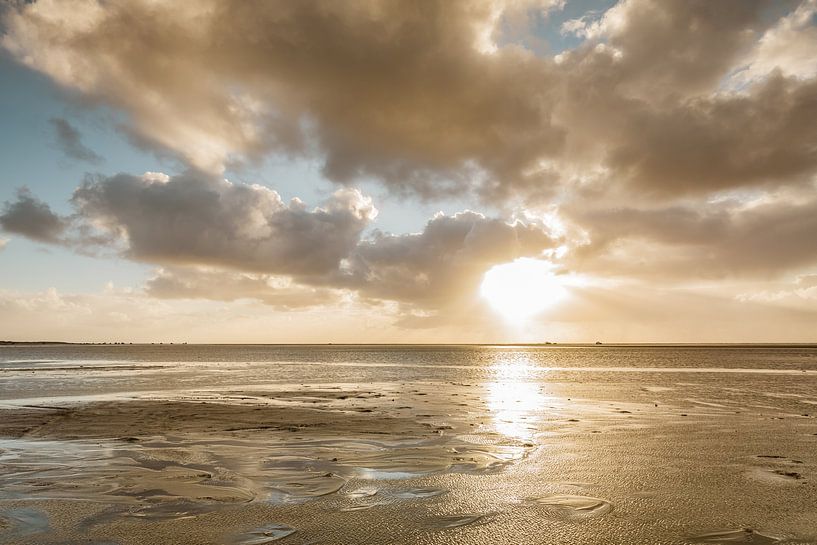 Gouden Waddenzee van Ursula Reins