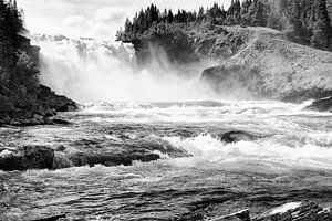 FORCE DE LA NATURE