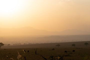 Borders of light - The shadow of South Sudan by Rick Massar