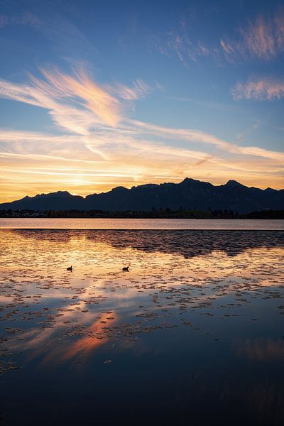Hopfensee at sunrise with Ammergau Alps by Daniel Pahmeier