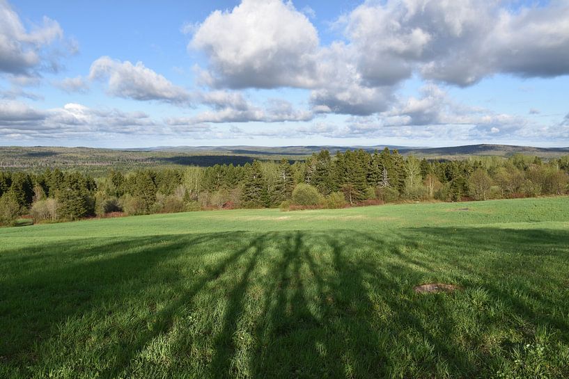 Ein Feld nach der Herbsternte von Claude Laprise