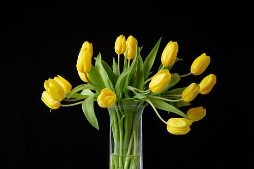 Sstilleven gele tulpen in kristallen vaas met donkere achtergrond.
